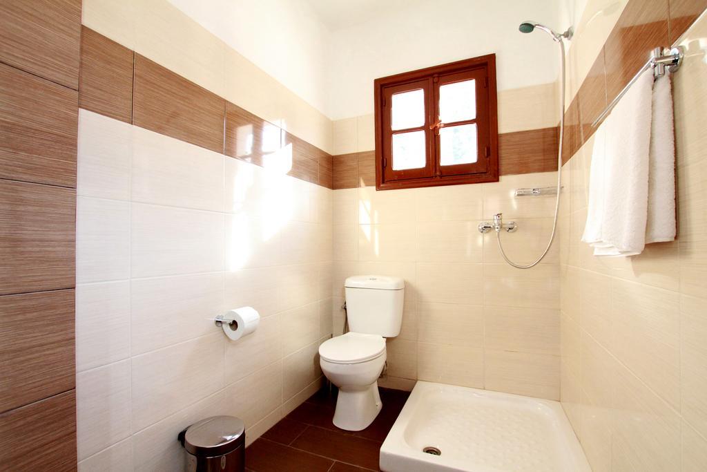 Traditional Apartments Alexandra Meyísti Kamer foto